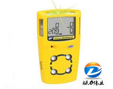   加拿大BW MC2-4系列多功能氣體檢測(cè)儀.jpg